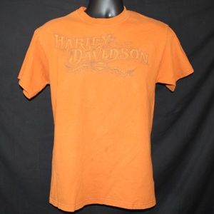 Harley Davidson Denali Park, Alaska Mens Tee Shirt